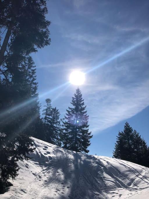 Sonniges Apartment In Seefeld 蒂罗尔-泽费尔德 外观 照片