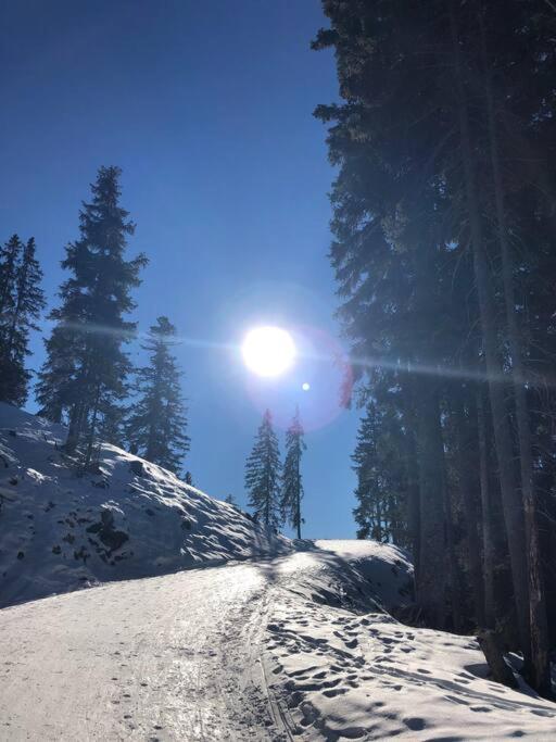 Sonniges Apartment In Seefeld 蒂罗尔-泽费尔德 外观 照片